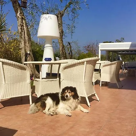 Tiziana 2*