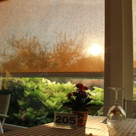 Tiziana Hotel 2*